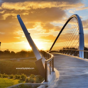 May include: A modern pedestrian bridge with a curved arch design, made of steel and cables. The bridge is illuminated by the setting sun, casting a warm glow on the structure. The bridge is surrounded by trees and greenery.