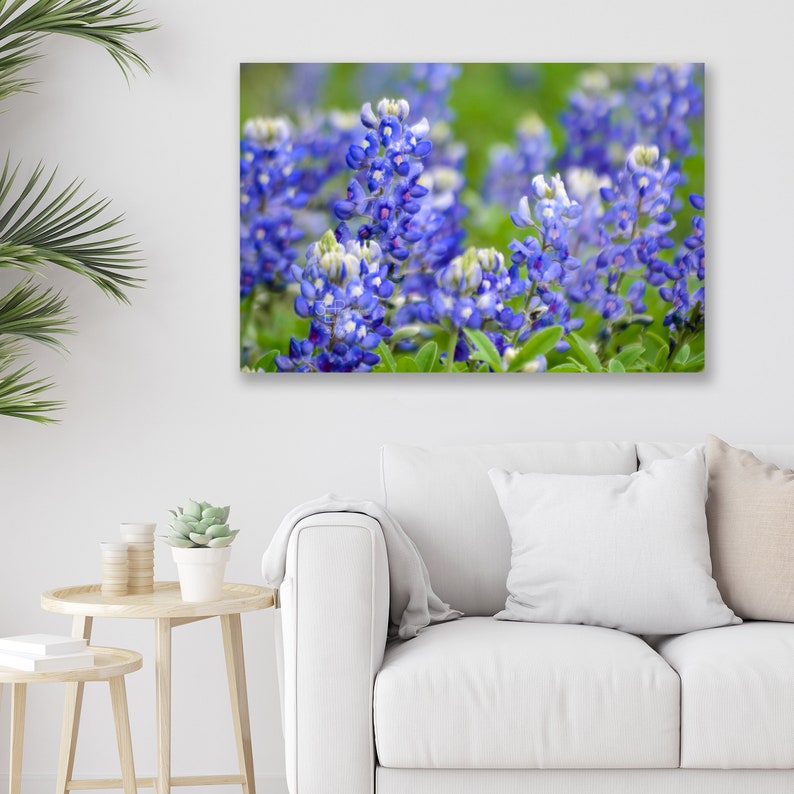 Texas Wall Art Photo Print, Canvas Art, Metal Print Texas