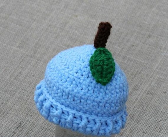 Preemie Newborn Blueberry Hat Baby 