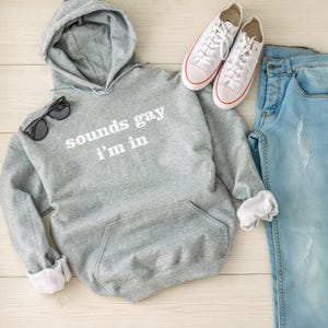 Sudadera Orgullo "Suena Gay, Me Gusta" (Unisex, Tallas S-XL, Mezcla de Algodón Suave) imagen 3