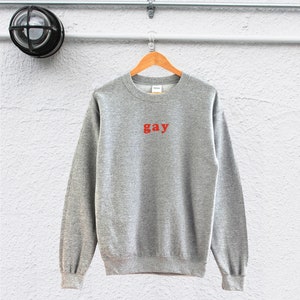 homo sweatshirt liefde is liefde sweatshirt gelijkheid sweatshirt lgbt-sweater lesbische sweater biseksueel sweatshirt lgbt-kleding
