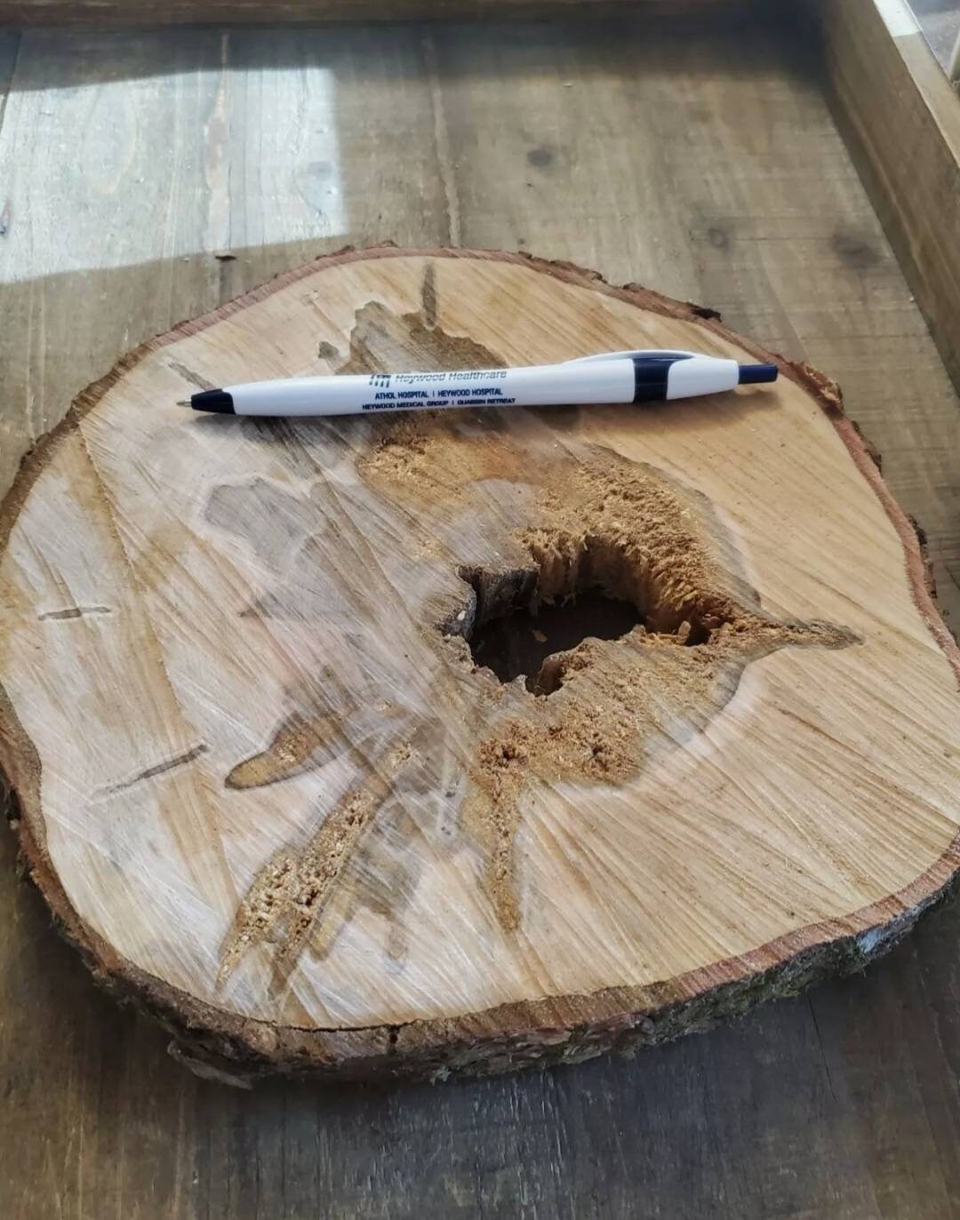 Round Piece of Live Edge Wood. Etsy