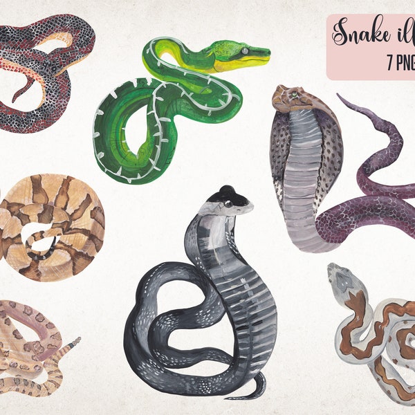 Snakes clipart Hand painted gouache illustration Png digital file download Jungle safari Animal print Exotic Indian cobra Emerald Green boa