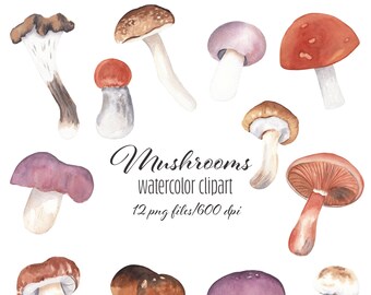 Watercolor Mushrooms Wild Mushrooms Watercolor forest clipart Autumn harvest Mushrooms for eating Halloween thanksgiving greetings Woodland