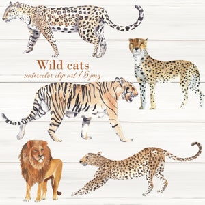 Aquarela gatos selvagens clipart Leão Jaguar Cheetah Leopardo Tigre Ilustrado à mão Safari Selva Africano Animais Asiáticos Chá de bebê Arte de berçário
