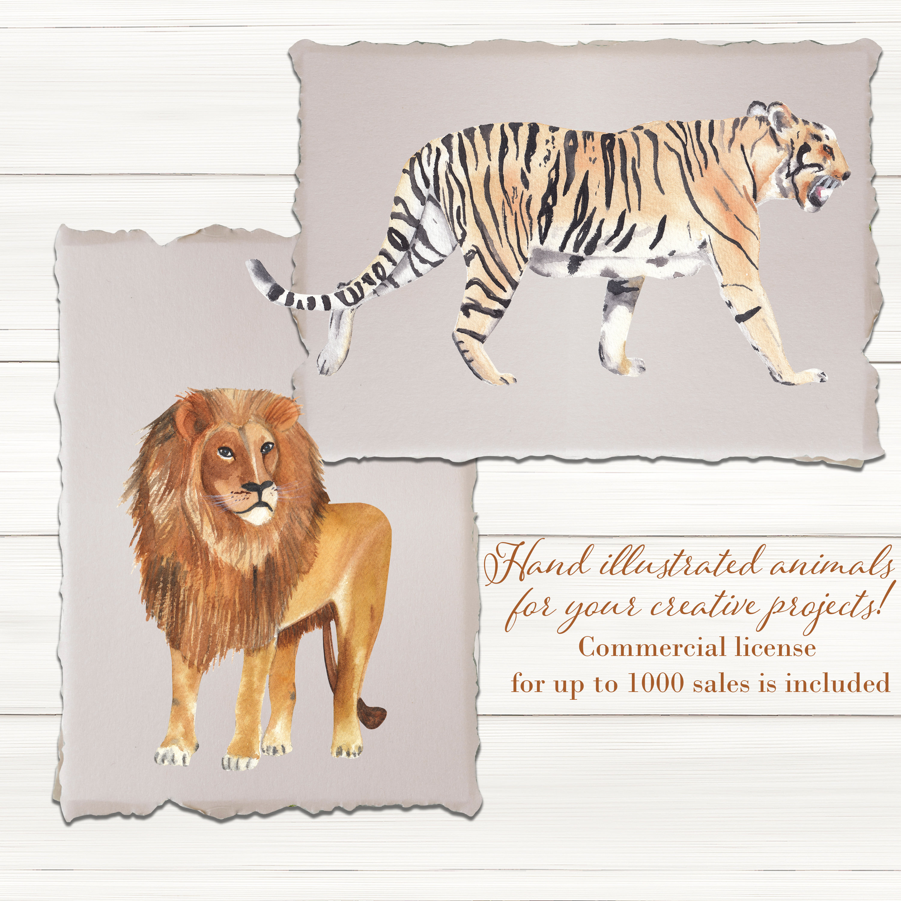 水彩の野生の猫のクリップアート ライオン ジャガー チーター ヒョウ トラ 手描きのイラスト サファリ ジャングル アフリカ アジアの動物  ベビーシャワー 保育園アート - Etsy 日本