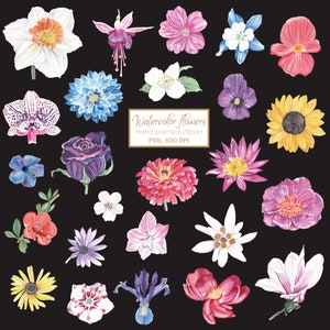Aquarel bloemen clipart handbeschilderd botanische illustraties bruiloft bloemen snijbestanden Iris orchidee zonnebloem magnolia gratis commercieel gebruik