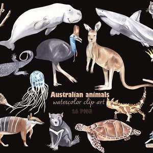 Australische Tiere Clipart Aquarell Känguru Koala Wombat Weißer Hai Vögel Echidna Thor & Tasmanische Teufel Babypartyeinladung 16