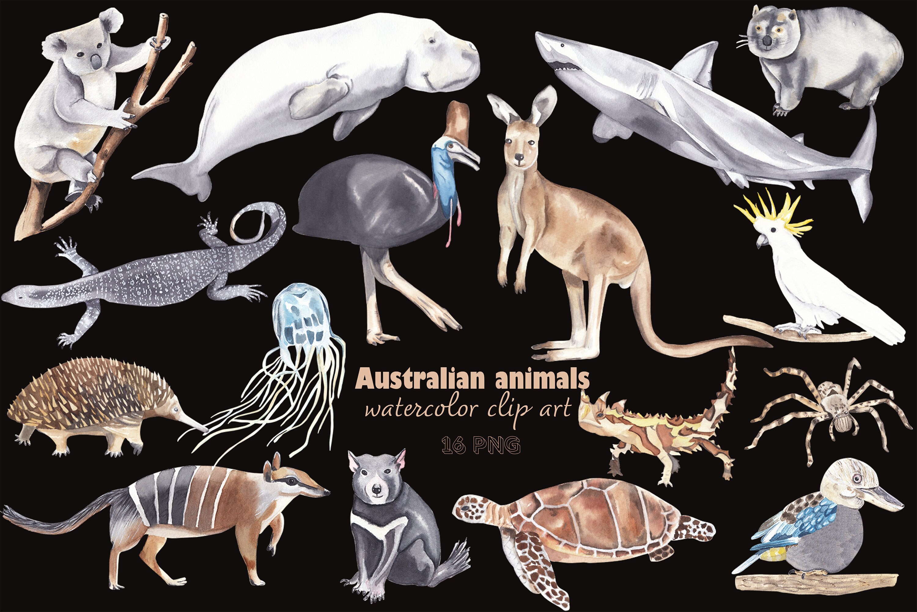 Download Australian Animals Clipart Watercolor Kangaroo Koala Wombat Etsy