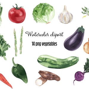 Clipart aquarelle de légumes aubergine carotte fenouil radis chou frisé courgette betterave rouge tomate oignon ail nourriture saine téléchargement immédiat cuisine
