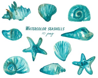Watercolor Seashells Clipart: Tropical Ocean PNG (Digital Download)