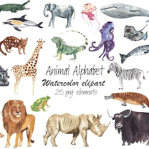 Clipart alfabeto animali acquerello Png stampabili Decorazioni per la cameretta del bambino ABC safari giungla animali marini: polpo uccelli balena leone ippopotamo tucano koala
