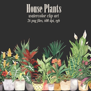 Clipart di piante da appartamento ad acquerello Piante in vaso per interni domestici Grafica png Flashcard Adesivi Invito Fai da te Fiori alfabetici Educazione Boho