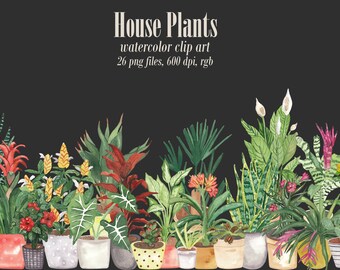 Watercolor house plants clipart Indoor Home potted plants png graphic Flashcards Stickers Invitation DIY Alphabetical flowers Education Boho