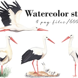Clipart aquarelle cigogne Illustrations dessinées à la main Invitations de shower de bébé Fête d'anniversaire de bébé pour enfants 4 png Art mural pour chambre d'enfant Art oiseau peint