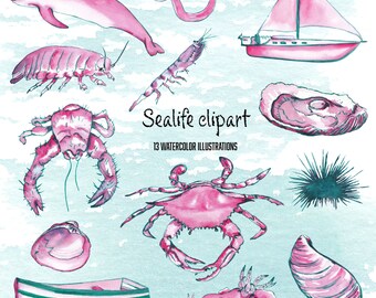 Watercolor Sea Life Clipart: Pink & Green Marine Illustrations (Digital Download)