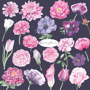 Clipart aquarelle botanique fleurs de printemps png fichiers coupés Tulipe Rose anémone lys coquelicot invitations de mariage Graphiques de Pâques Téléchargement numérique