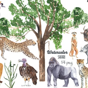 Acquerello safari animali clipart 14 png bambini cameretta babyshower safari invito album africano gorilla leopardo ghepardo leone avvoltoio