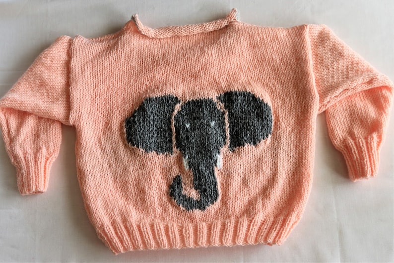 Elephant Sweater image 1