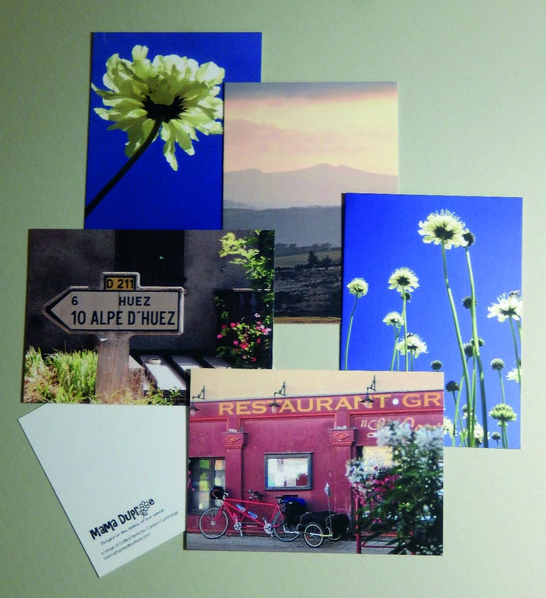 Small Art Cardpostcard Single White Flower 4x6 10x15cm Art Collectibles Color