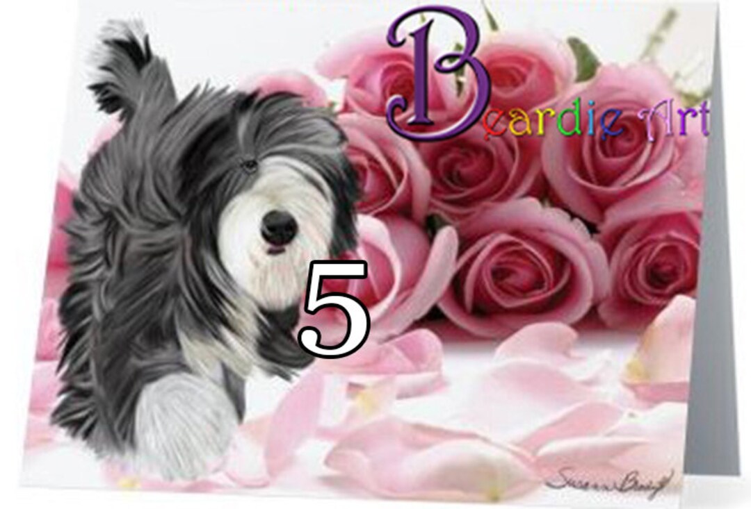 10 BEARDED COLLIE Cards Beardie greeting Card Hearts, Roses, Christmas