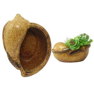 Puede incluir: Una maceta de cerámica con forma de caracola con un esmalte texturizado y agrietado en tonos bronceado y marrón. El interior es de color marrón moteado. Una segunda vista muestra la maceta de lado, conteniendo pequeñas plantas suculentas verdes.