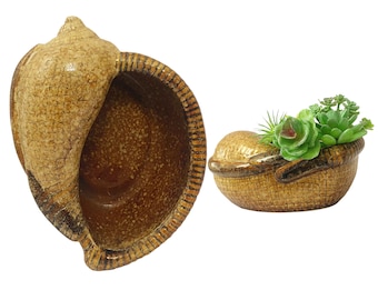 Vintage Large Conch Shell Indoor Outdoor Planter Colorado Brown Drip Glazed Pottery Plant Holder Sea Shells Beach Lovers Succulent Vases