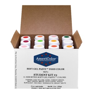 AmeriColor Soft Gel Paste Student Kits Student Kit 2