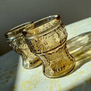 Vintage 1970er Jahre Italienische Fidenza Rauchgrau Geprägte Florale Gläser Set von 2