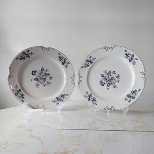 Vintage Crescent Japan Viola Dinner Plate Set of 2, Cottage Core Dishes