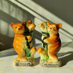Vintage 'No Hugging Allowed' Tree Hugger Bears Ceramic Salt and Pepper Shaker Set