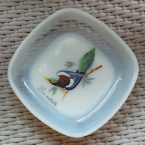 May include: A white ceramic dish with a blue and green bird illustration. The bird is perched on a branch and the text "Pica nuttalli" is written below it.