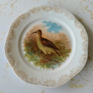 Antique Curlew Dessert Plate: ZS & Co Bavaria Porcelain, Gold Trim