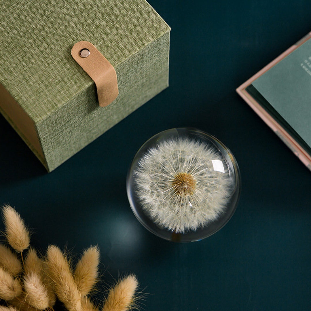 Real Flower Resin Paperweight, Dandelion Sunflower Daisy Flower Paper