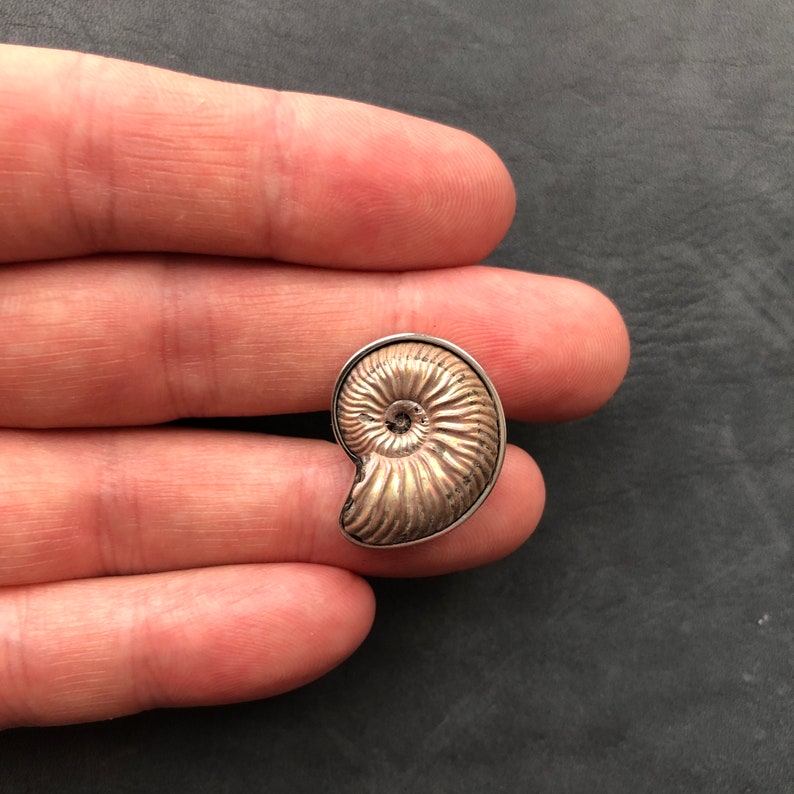 Ring witn pyrite Ammonite Dimensionless | Frame Nickel Silver Look video on Youtube