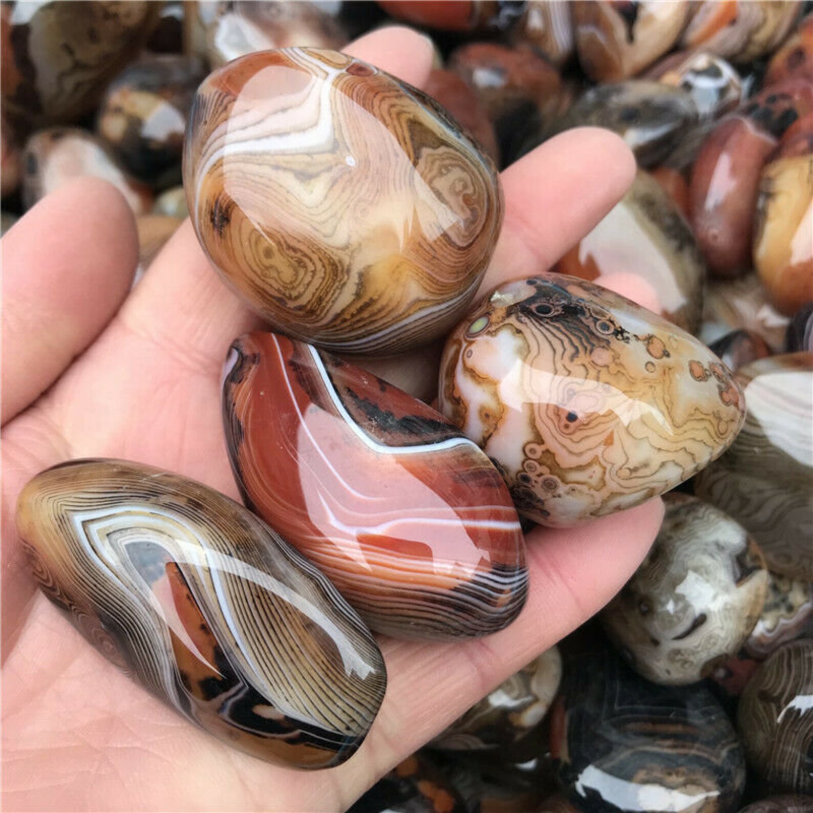 1/2lb Natural Sardonyx Banded Agate Crystal Polished Minerals Etsy