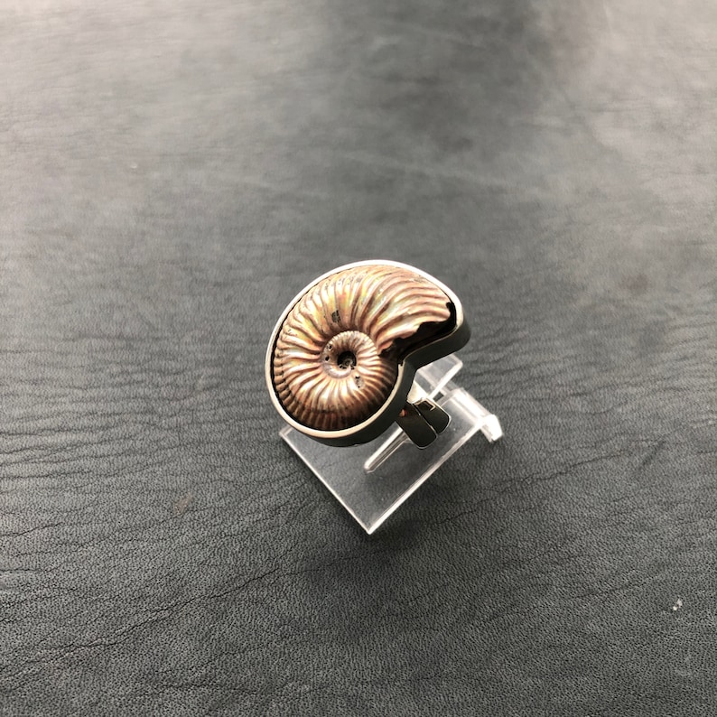Ring witn pyrite Ammonite Dimensionless | Frame Nickel Silver Look video on Youtube