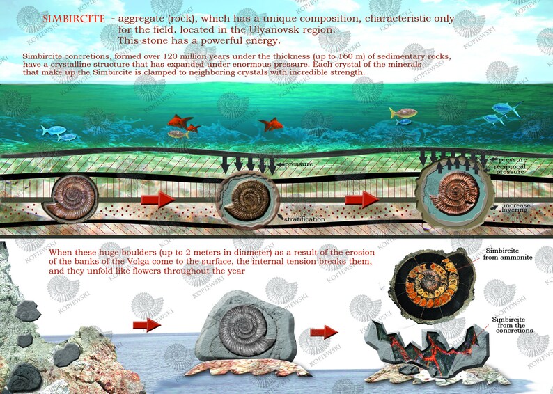 50 \u0445 35 mm ammonite with silver pyrite geode rainbow pyrite, marcasite,spectropyrite designer cabochon30