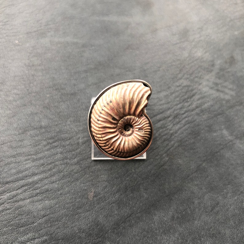 Ring witn pyrite Ammonite Dimensionless | Frame Nickel Silver Look video on Youtube