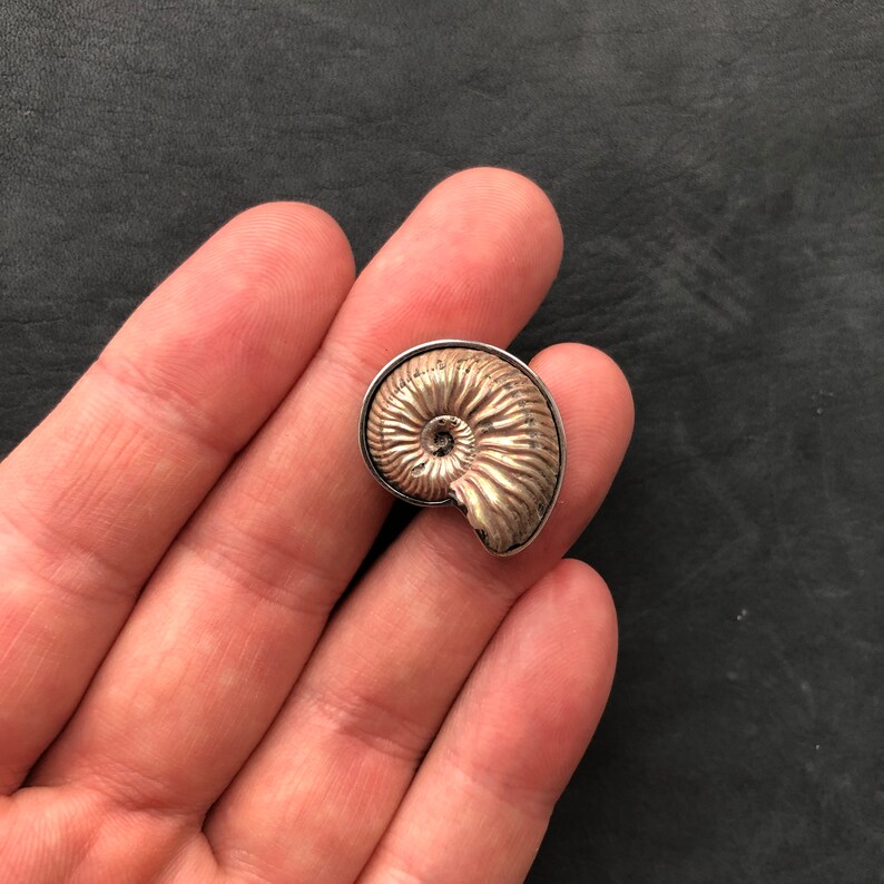 Ring witn pyrite Ammonite Dimensionless | Frame Nickel Silver Look video on Youtube