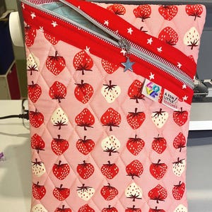 Handmade Quilted Zipper Pouch | Ruby Star Society Fabric, 9x12 Organizer