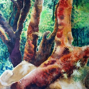 Original Aquarell Baum