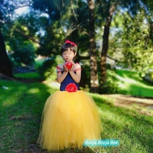 Snow White tutu dress, costume, birthday, photo shoot, Halloween, tulle, princess party, pre-order