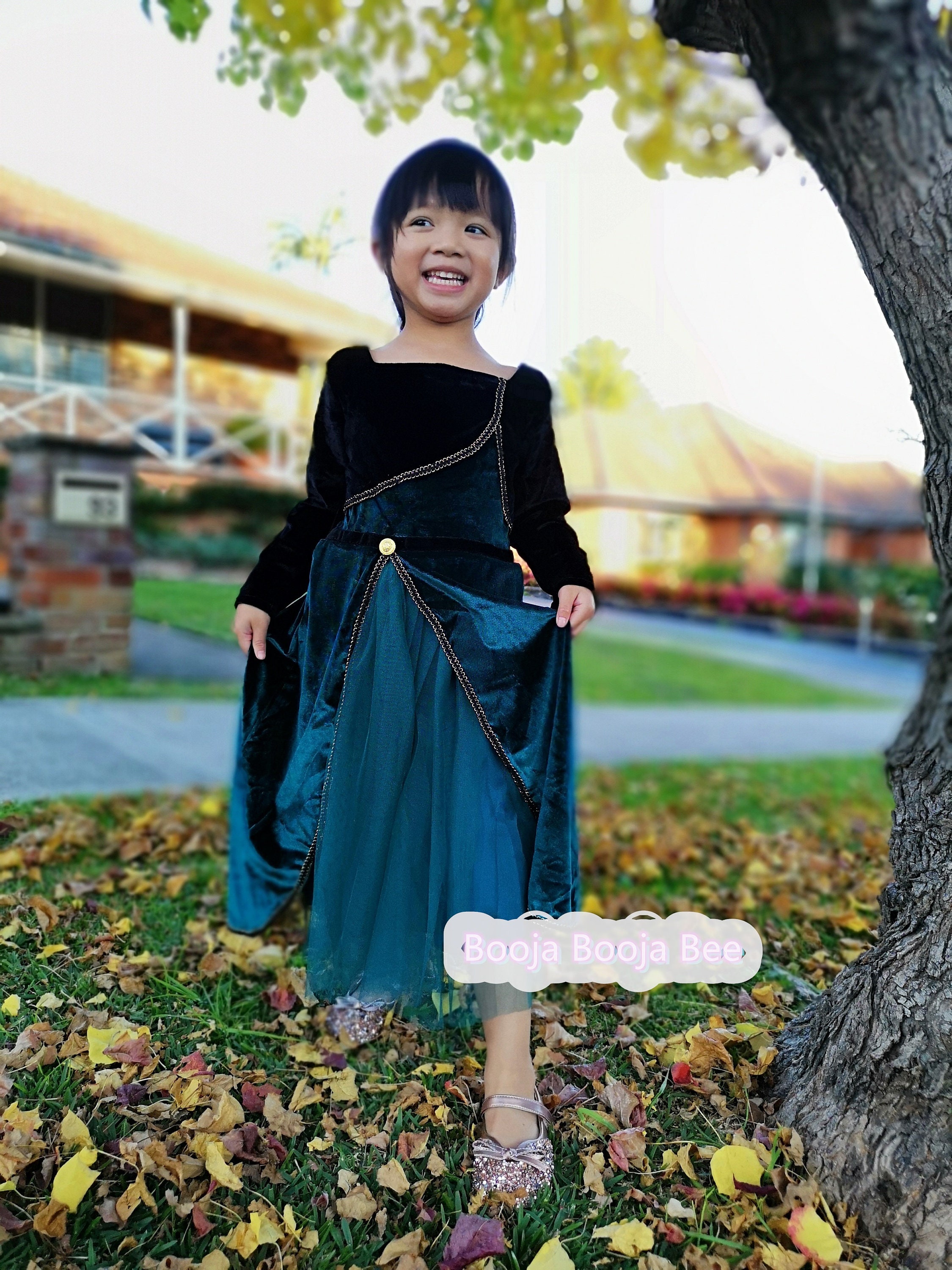 Frozen Anna Coronation Long Sleeves 