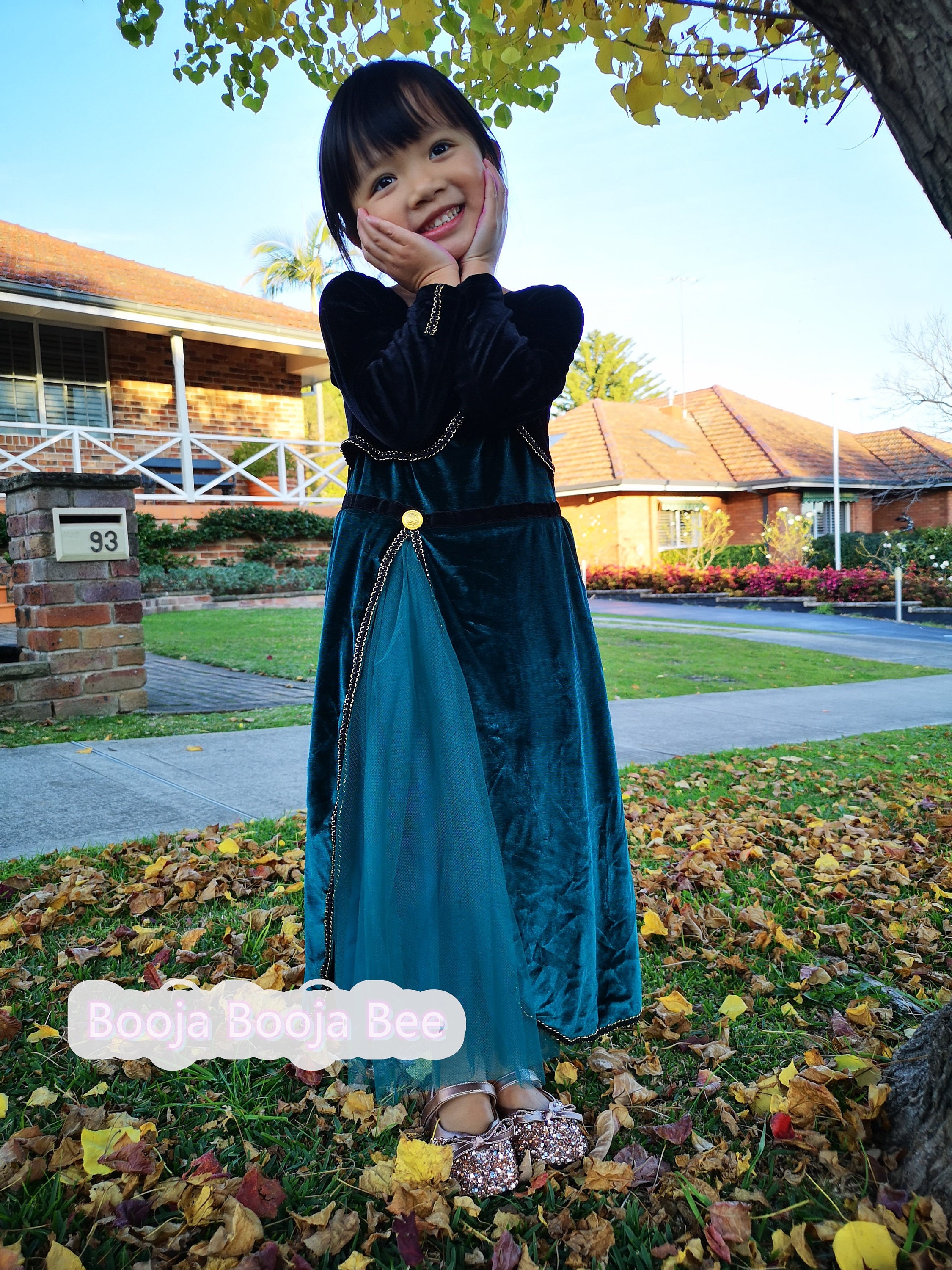 Frozen Anna Coronation Long Sleeves 