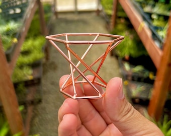 Rose Gold Geometric Metal Stand For Air Plants *Great For Boho and Chic Decor*