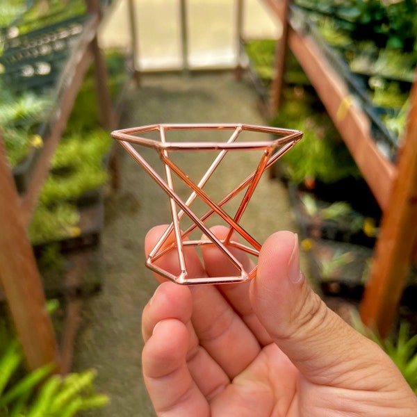 Rose Gold Geometric Metal Stand For Air Plants *Great For Boho and Chic Decor*