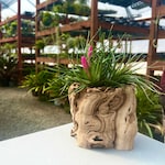 Driftwood Planters