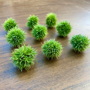 May include: A collection of nine small, round, spiky green decorative spheres. The spheres are evenly spaced on a brown wooden surface, with each sphere appearing to be approximately 2 inches in diameter. The overall aesthetic is natural and textured.
