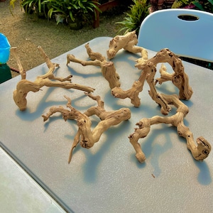 9"-12” Sandblasted Grapewood Branch - *Perfect for air plants, moss, terrariums, and aquariums!*